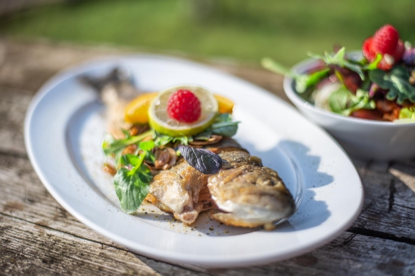 gebratene Forelle mit Salat und Obst garniert
