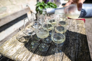 Sekt einschenken in Gläser