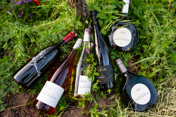 6 Flaschen Wein im Gras liegend in Sonnenform